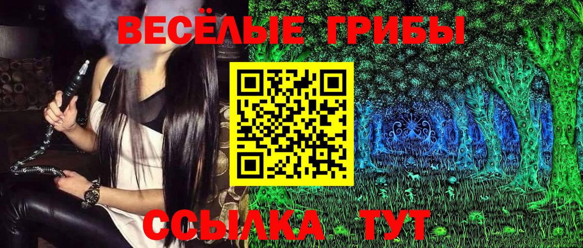 Псилоцибиновые грибы Psilocybe Ангарск