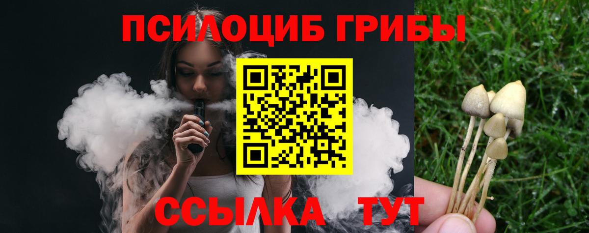 Галлюциногенные грибы Psilocybine cubensis  Вход с VPN  Ангарск 